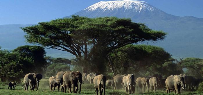 3 Nights Parks & Peaks Amboseli National Park in Africa / Kenya, image_2