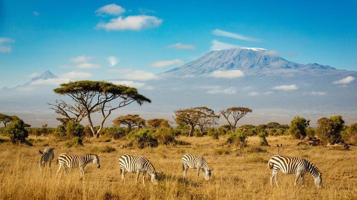 3 Nights Parks & Peaks Amboseli National Park in Africa / Kenya, image_3