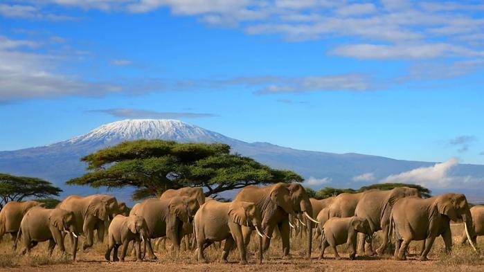 3 Nights Parks & Peaks Amboseli National Park in Africa / Kenya, image_1