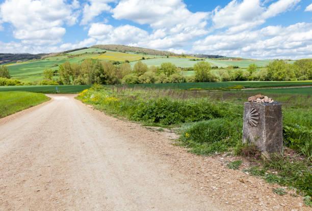 Walk the Sacred Camino Pilgrimage: A 6-Night Spiritual Journey from Sarria to Santiago de Compostela in Europe / Spain, image_3