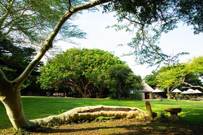  Falaza Game Park & Spa in South Africa / KwaZulu-Natal, image_1
