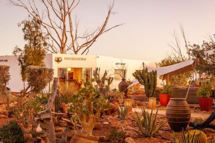  Inverdoorn Private Game Reserve in South Africa / Kruger National Park, image_2