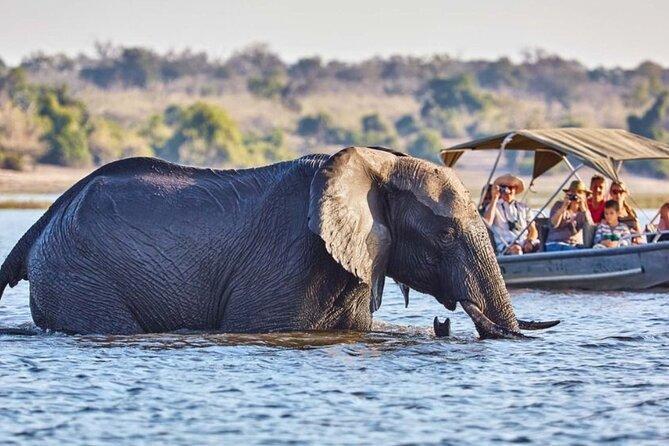 4 Nights Victoria Falls and Chobe Combo in Africa / Zimbabwe, image_1