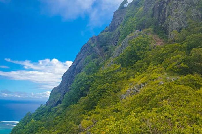 Le Morne Mountain Hike- Mauritius Adventure in IOI / Mauritius, image_3